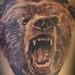 Tattoos - Grizzly Bear - 77354